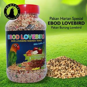 Info Milet Merah 1kg Millet Merah Pakan Burung Lovebird Makanan Burung Katalog.or.id Info Milet Merah 1kg Millet Merah Pakan Burung Lovebird Makanan Burung Katalog.or.id