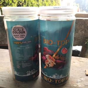 Katalog Udang Hidup Pakan Ikan Arwana Oscar Louhan Katalog.or.id Katalog Udang Hidup Pakan Ikan Arwana Oscar Louhan Katalog.or.id