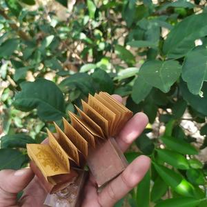 Harga Kitab Stambul Tinta Emas Murah Terbaru 2021 Hargano Com