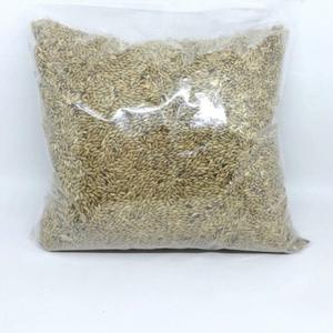 Harga Niger Seed Pakan Burung Kenari Dll Penghangat Cuaca Exstrim 250gr Katalog.or.id Harga Niger Seed Pakan Burung Kenari Dll Penghangat Cuaca Exstrim 250gr Katalog.or.id