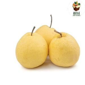 24 Harga Buah Pear Pir Madu Murah Terbaru 2021 Katalog Or Id