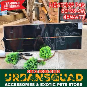 Info Nomoy Kandang Kura Kura Katalog.or.id Info Nomoy Kandang Kura Kura Katalog.or.id