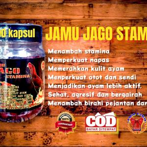 Info Vitaplex Vitamin Obat Ayam Isi 50 Butir Katalog.or.id Info Vitaplex Vitamin Obat Ayam Isi 50 Butir Katalog.or.id