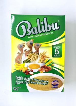 Info Pakan Bayi Anakan Burung Lovebird Lolohan Bubur Ijo Veloce Katalog.or.id Info Pakan Bayi Anakan Burung Lovebird Lolohan Bubur Ijo Veloce Katalog.or.id