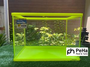Katalog Aquarium Kaca Nisso Family Katalog.or.id Katalog Aquarium Kaca Nisso Family Katalog.or.id
