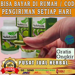 Harga Manfaatnya Daun Kelor Katalog.or.id Harga Manfaatnya Daun Kelor Katalog.or.id