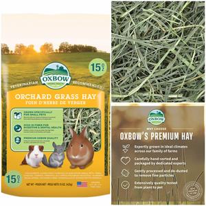 Harga Oxbow Orchard Grass Hay Rumput Pakan Kelinci Marmut 500gr Katalog.or.id Harga Oxbow Orchard Grass Hay Rumput Pakan Kelinci Marmut 500gr Katalog.or.id