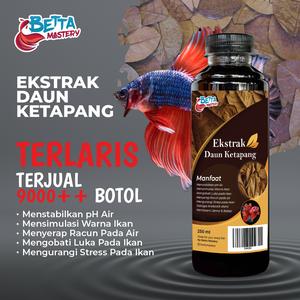 Info The Real Ekstrak Ketapang Katalog.or.id Info The Real Ekstrak Ketapang Katalog.or.id