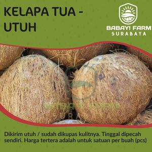 24 Harga Kelapa Tua Parut Murah Terbaru 2021 Katalog Or Id