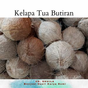 24 Harga Kelapa Tua Murah Murah Terbaru 2021 Katalog Or Id