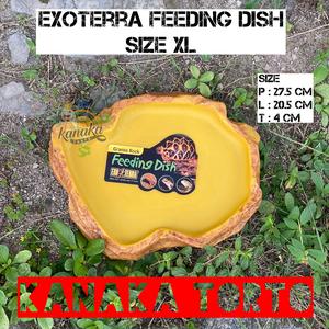 Harga Tempat Makan Reptil Kura Katalog.or.id Harga Tempat Makan Reptil Kura Katalog.or.id