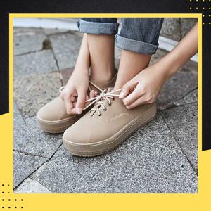 Katalog Polla Polly Katalog.or.id Katalog Polla Polly Katalog.or.id