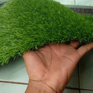 Harga Rumput Sintetis Jepang 2 Cm Harga Promo Katalog.or.id Harga Rumput Sintetis Jepang 2 Cm Harga Promo Katalog.or.id