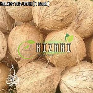 24 Harga Kelapa Tua Sulawesi Murah Terbaru 2021 Katalog Or Id