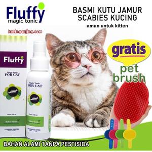 24+ Harga Sisir Kutu Kucing Cat Murah Terbaru 2021  Katalog.or.id