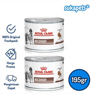 Info Royal Canin Recovery Cats Dogs Canned Katalog.or.id Info Royal Canin Recovery Cats Dogs Canned Katalog.or.id