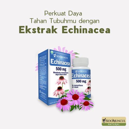 Gambar SIDOMUNCUL ECHINACEA 500 MG - 30 KAPLET - Daya Tahan Tubuh dari Jovee Jakarta Selatan Tokopedia