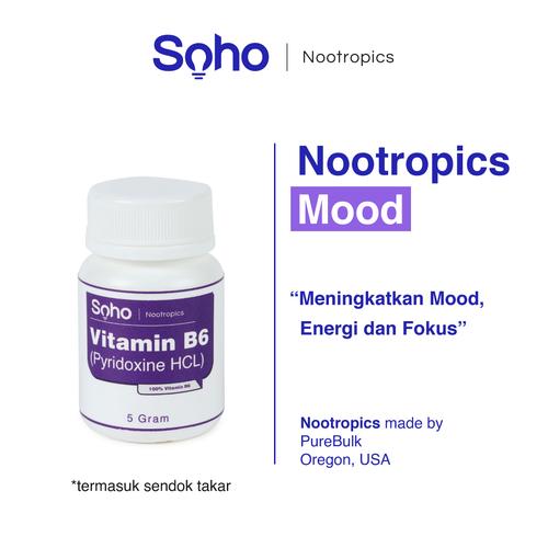 Foto Produk Vitamin B6 (Pyridoxine HCL) Powder 5 Gram - Meningkatkan Mood & Fokus dari Soho Nootropics