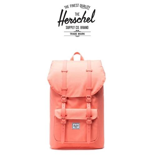 skybags herios plus 01