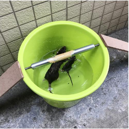 Gambar Tongkat Rol Putar Jebakan/Pembunuh Tikus FE17 dari Belowsaban Jakarta Utara Tokopedia