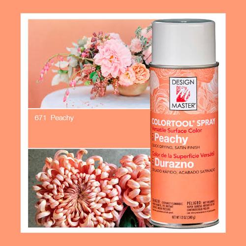 Foto Produk design master peachy - Pewarna bunga - spray bunga dari @aksesoris_tokobunga