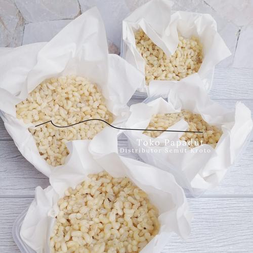 Foto Produk KROTO KHUSUS TELUR BESAR 1 ONS - WADAH PLASTIK dari Toko Papadut