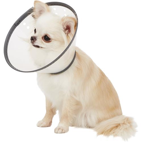 E collar anjing Clearance