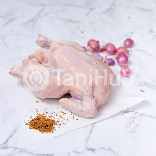 Foto Produk Tanihub Ayam Broiler 0,9 - 1Kg Kemasan 1pcs Fowler dari TaniHub