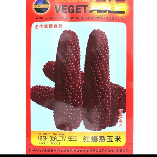 Gambar ECERAN benih biji bibit jagung pulut merah jumbo dari Biji Benih Kota Medan Tokopedia