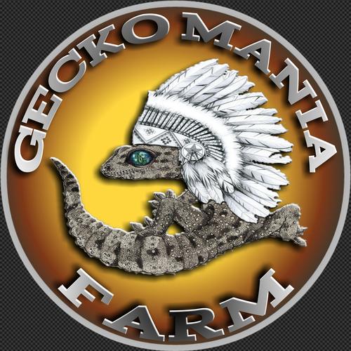 Foto Produk mystery box GMF 2 berisi leopard gecko - bell dari gecko mania farm