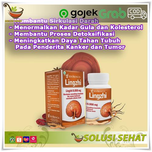 Jual Obat Herbal Jamur Lingzhi Sidomuncul Detoksifikasi Daya Tahan