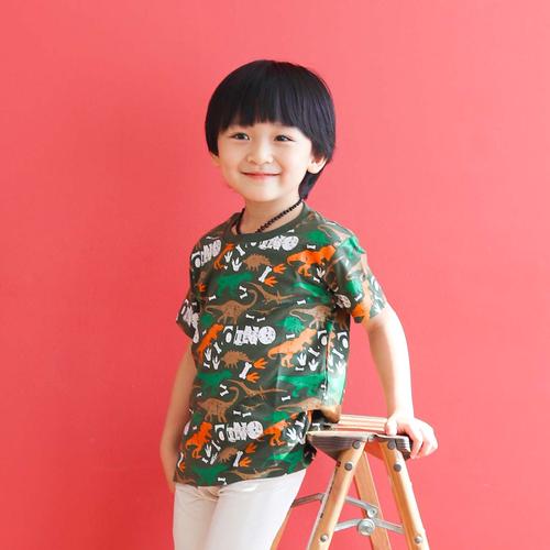 Foto Produk Kaos Anak Usia 1-9 tahun motif dino|L094 Army Dino Tee - Little Jergio - M 2-3Y dari Little Jergio