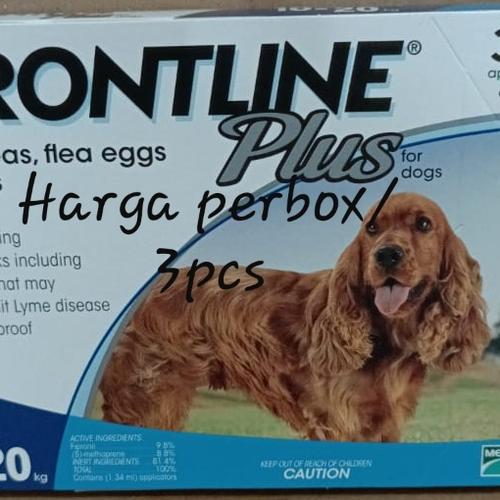 frontline medium dog