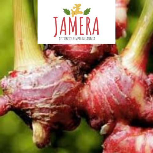 Foto Produk Jahe Merah Segar Bersih (sudah dicuci) Jahe Merah Asli 1/2 kg(500gram) dari Jahe Merah Asli