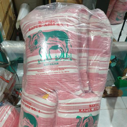 Foto Produk bantal kapuk cap GAJAH padat murah dari furniture robby