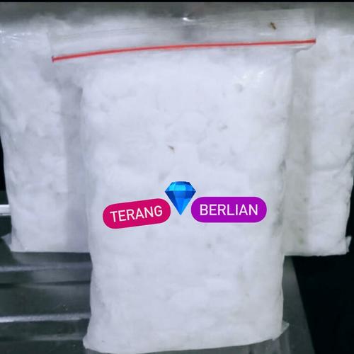 Foto Produk Daging Kelapa Muda Beku dari Terang Berlian