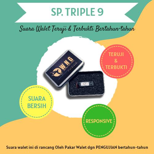 Gambar Suara Walet Panggil Triple 9 Original | Suara Panggil Walet Terbukti dari IndoWalet_SMD Kab. Kotawaringin Timur Tokopedia