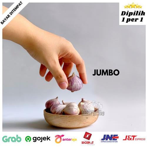 Gambar Bawang Putih Tunggal / Bawang Lanang Super Ukuran Besar Jumbo 500gr - KECIL dari Supplier Bawang Jakarta Barat Tokopedia