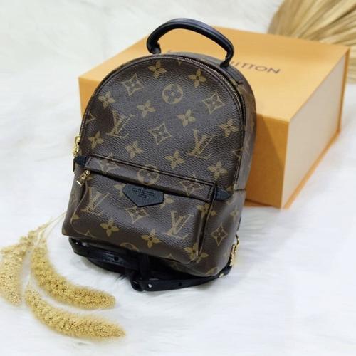 authentic palm springs mini