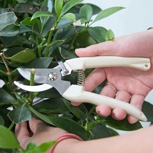 Foto Produk GUNTING DAHAN GUNTING RANTING GUNTING TANAMAN MURAH TAJAM dari yaxiya666
