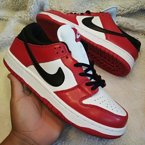 premium nike SB Dunk Low Pro \