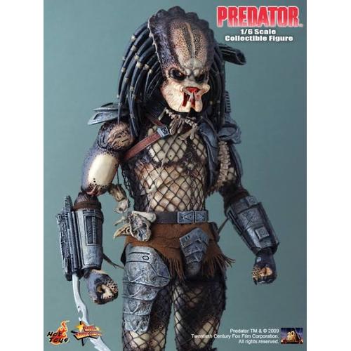 Jual Hot toys Predator 1 classic 