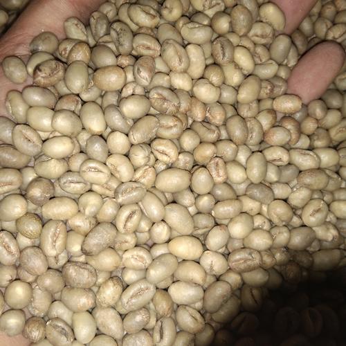Gambar Green Bean Peaberry / Kopi Lanang Robusta Malang dari KOPI MAHAGADING Kab. Malang Tokopedia