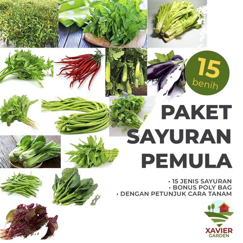 Foto Produk BENIH PAKET SAYURAN PEMULA ISI 15 BIBIT SAYURAN dari Xavier Garden
