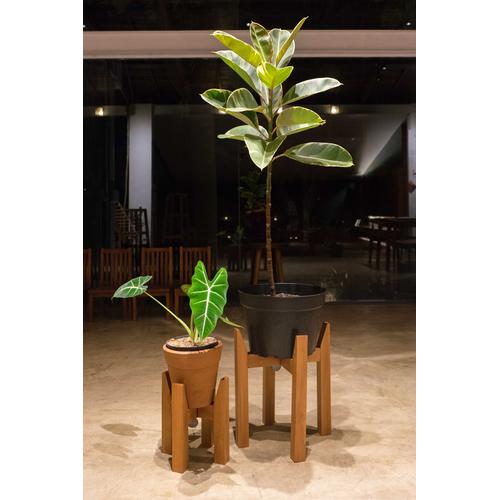 Foto Produk CLAW Series dari RainFall by Curah Hujan