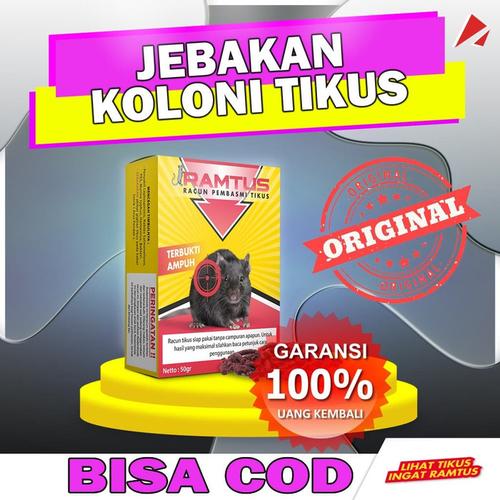 Jual Umpan Jebakan Tikus Perangkap Tikus Paling Ampuh Mematikan Kota Bandung Big E Commerce Tokopedia