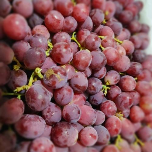 Jual Anggur Merah RRC Buah Segar 500gr - Kota Depok - Toko Sayur Basir ...