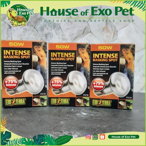 Foto Produk Lampu UVA / Exoterra UVA Intense Basking Spot 50 Watt dari House of Exo Pet