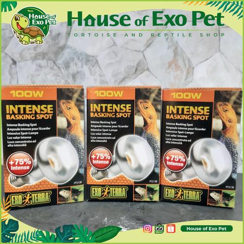 Foto Produk Lampu Uva Exoterra Uva Intense Basking Spot 100 Watt dari House of Exo Pet