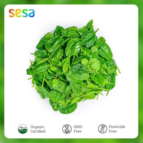 Foto Produk Sayur Baby Spinach /100 g dari SESA Official
